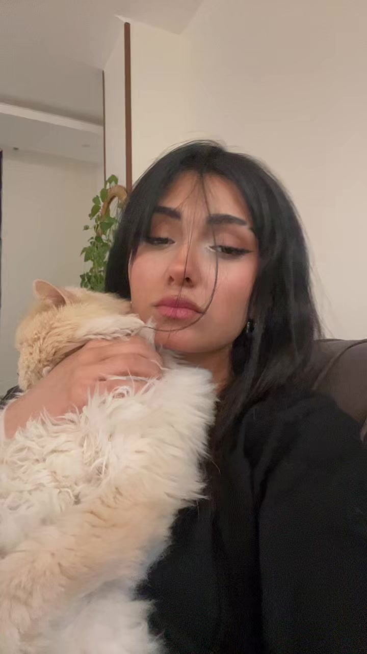@lil.meshii