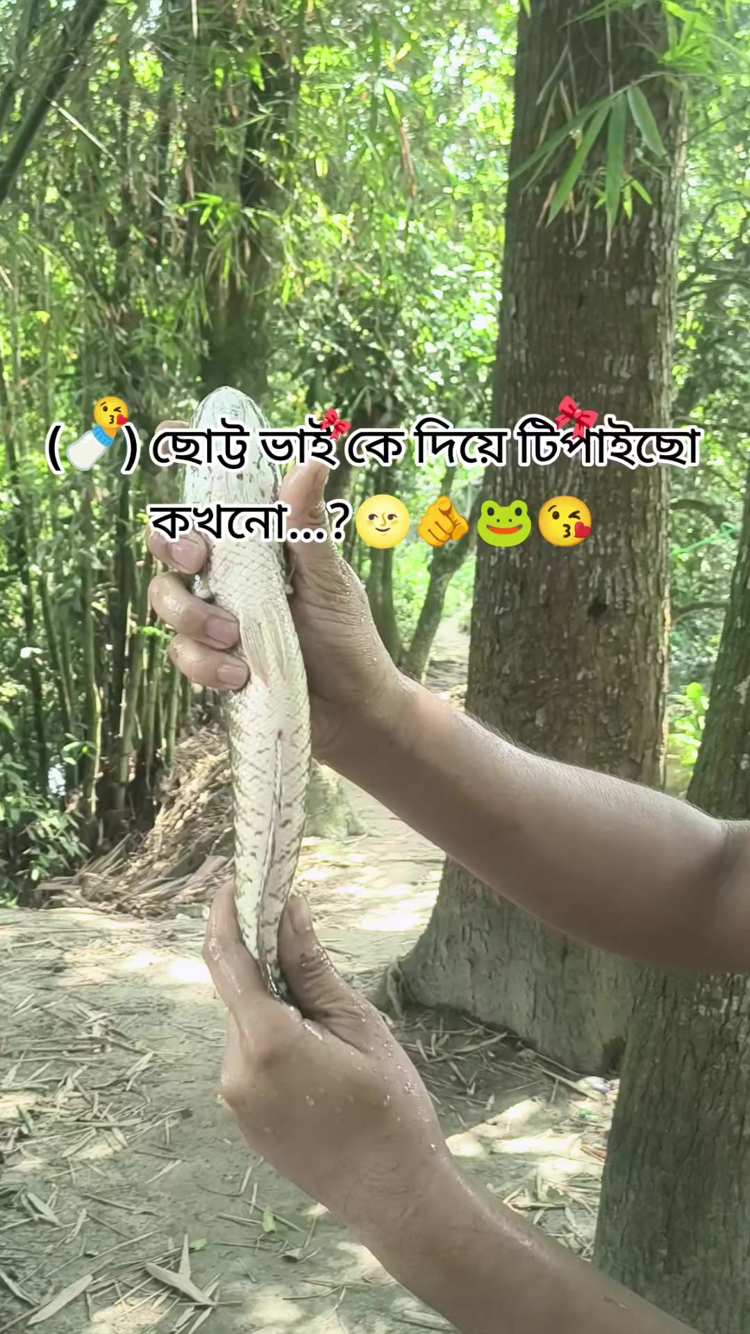 @(っ◔࿐🐸🫦দুষ্ট দাদু🫦🐸࿐(っ◔◡◔)っ