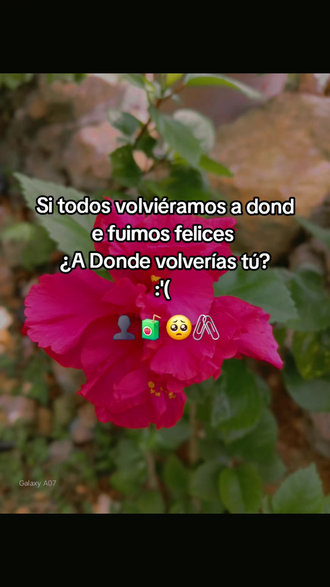 @🌷👸