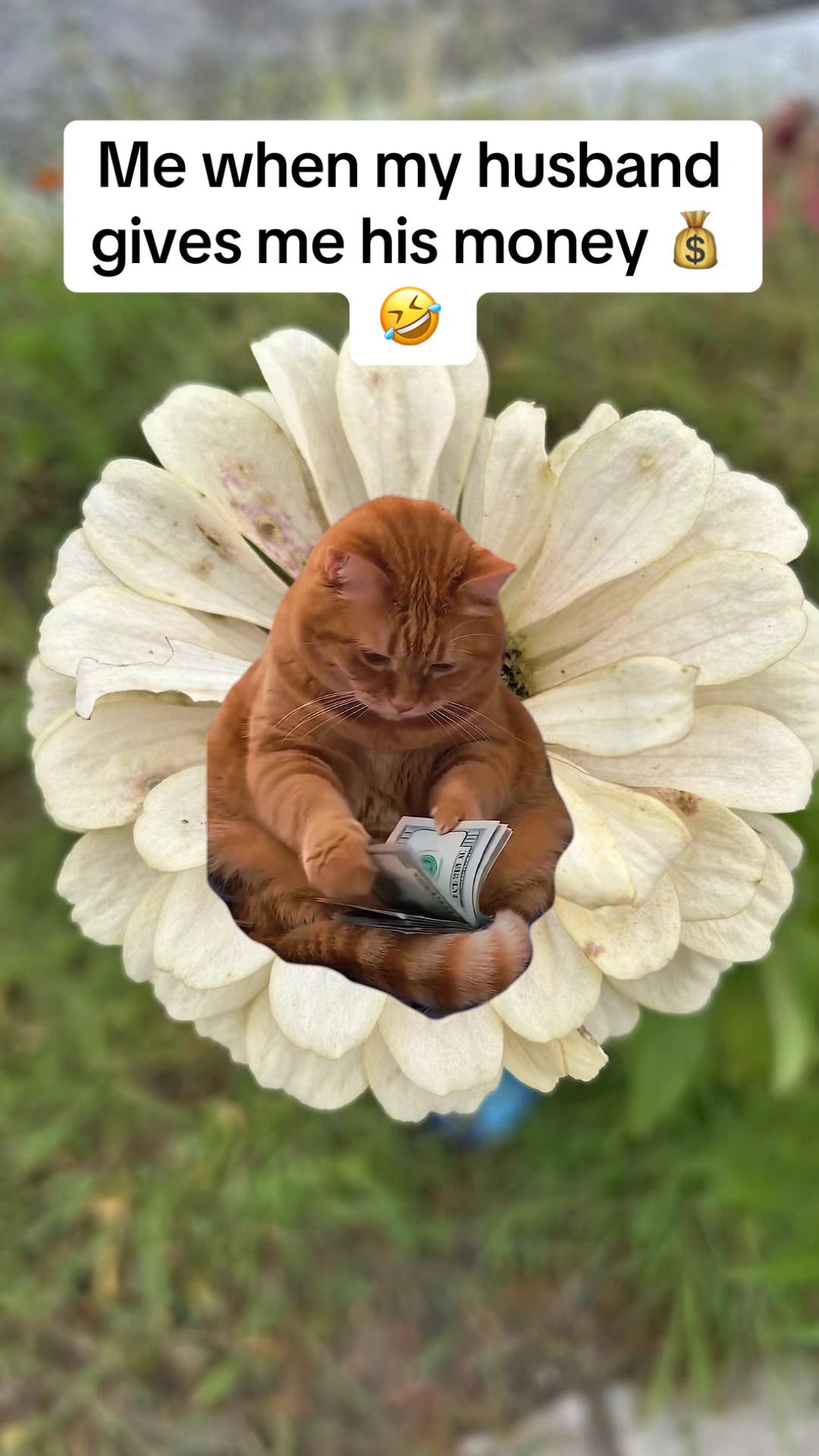 @Ann🪸 sweetie🔥🌹🪸