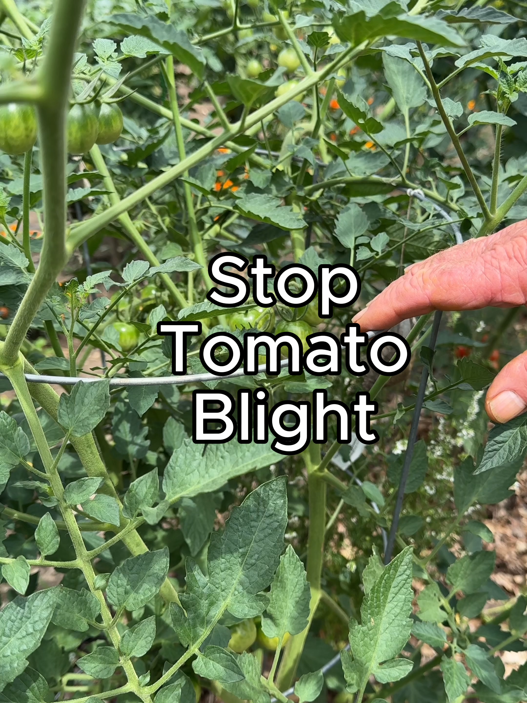 @Farmer 🧑&zwj;🌾