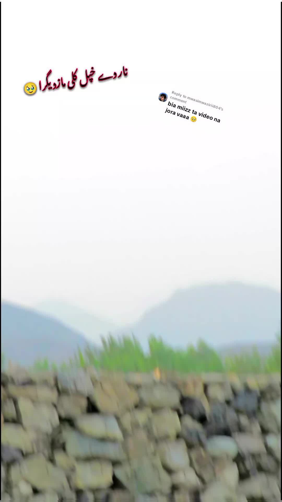 @༼ ❌↗ 𝙎𝘿𝙍.spinwal ↖ ༽❌