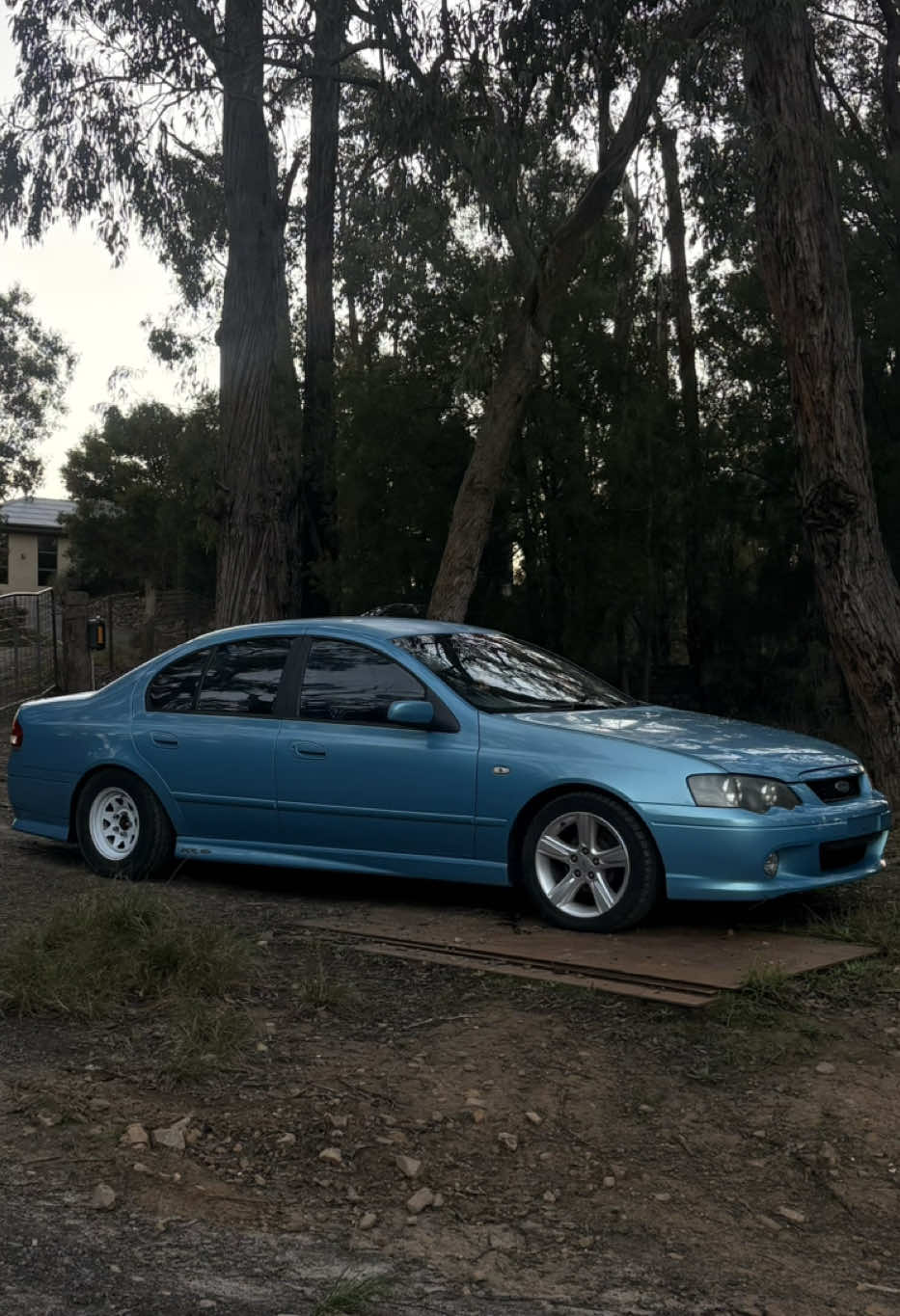 @bibby.291