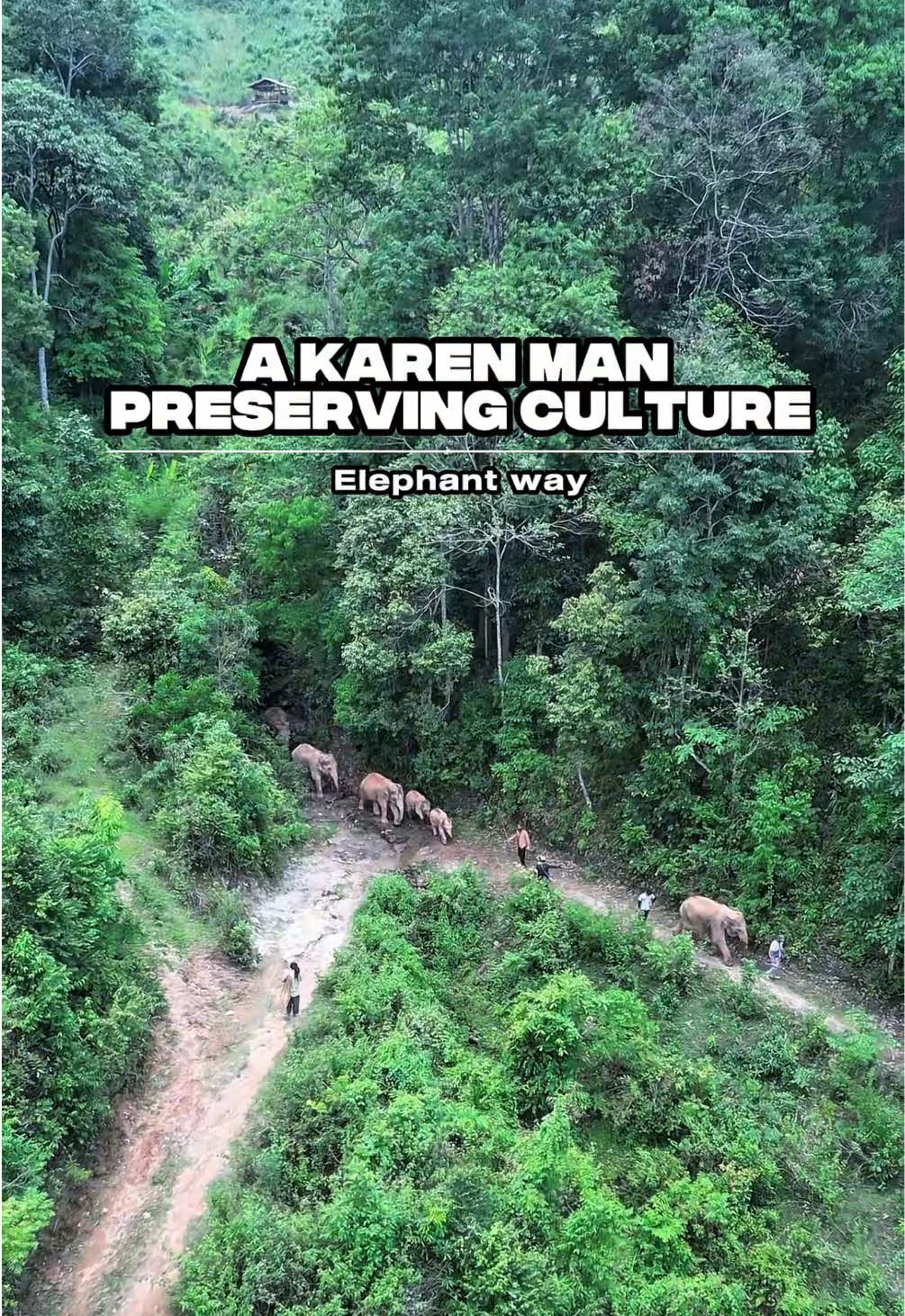 @Elephant way