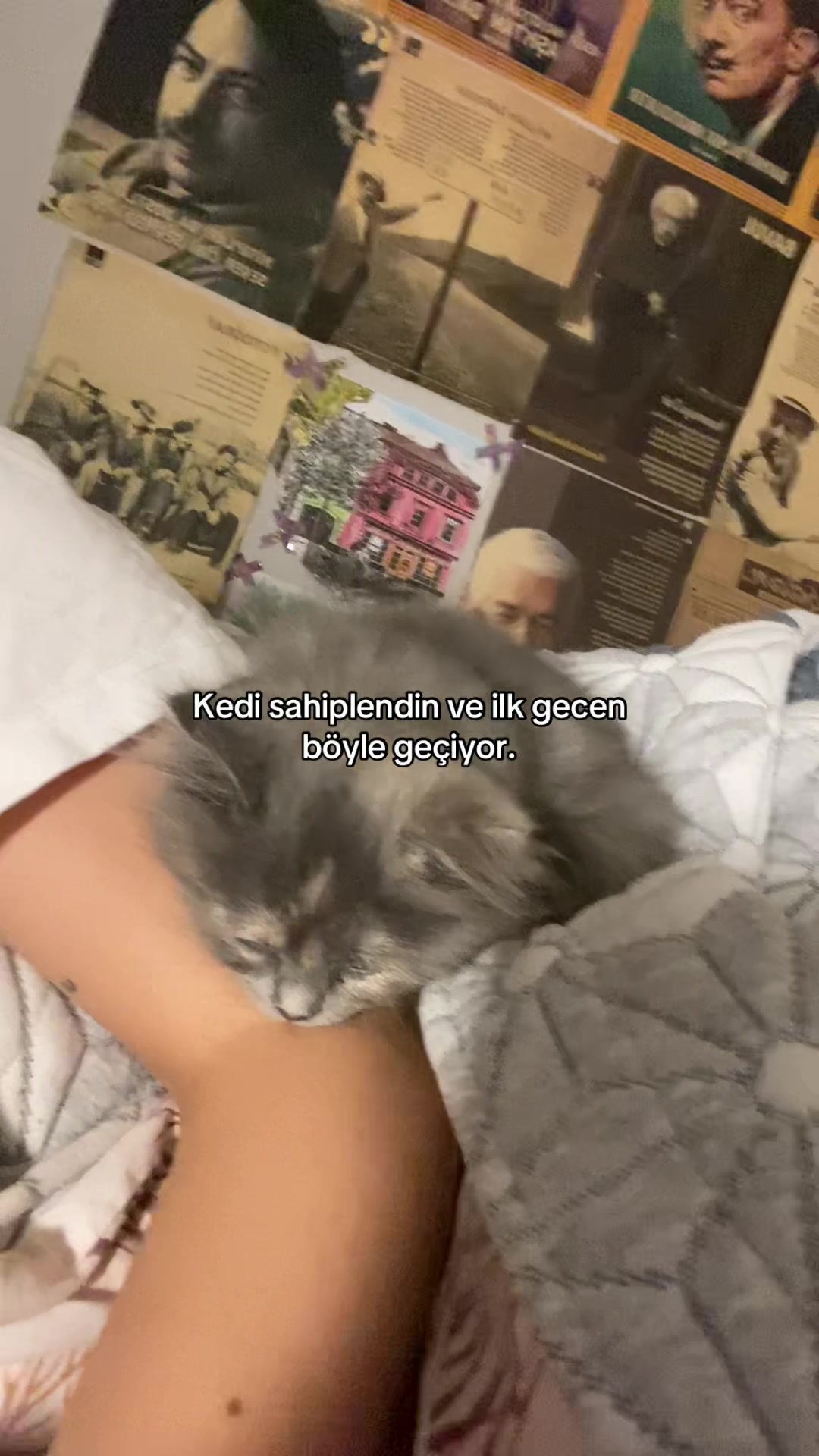 @akasya✨