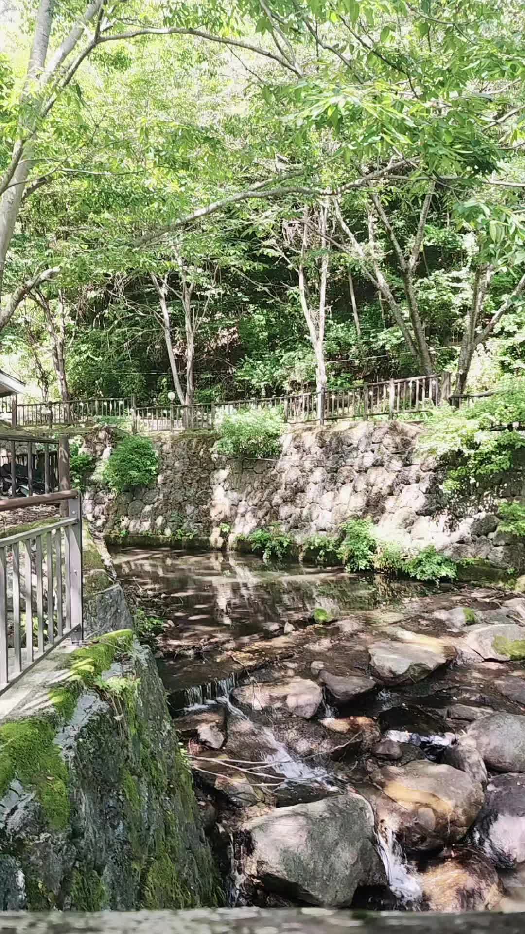 @👑반짝반짝🐿🍙🛵