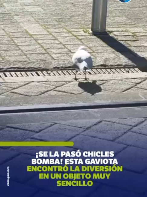 @EjeCentral