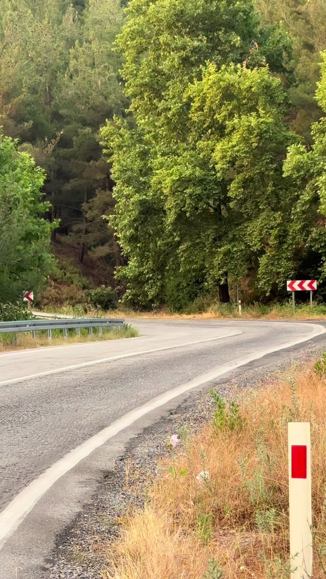 @G&Uuml;RAY AKIN