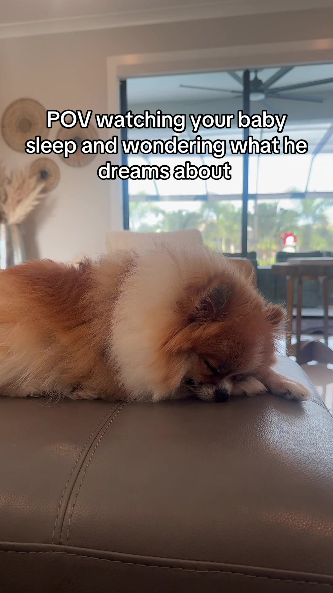 @alyssa