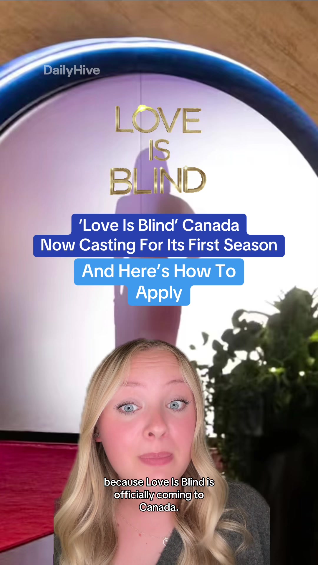 @dailyhivecanada