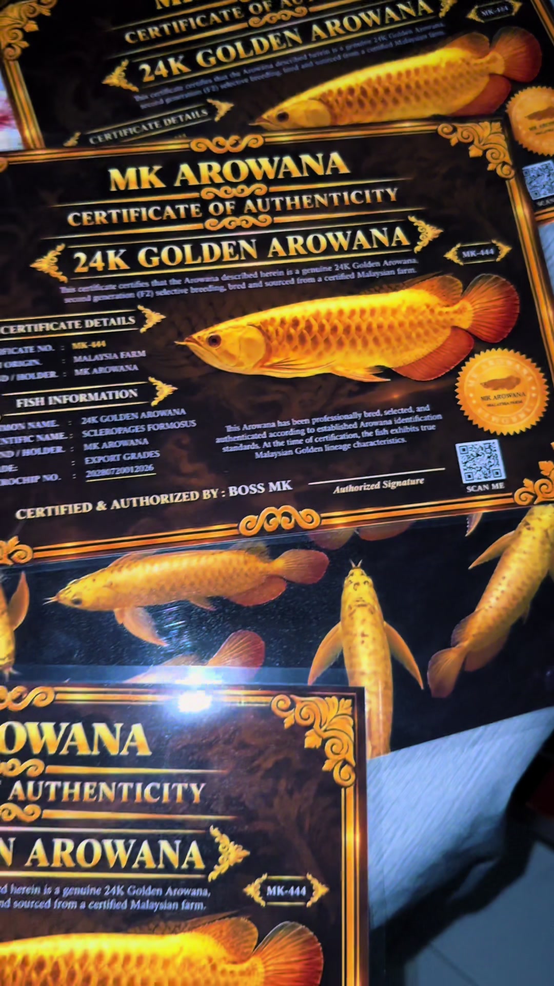 @MK AROWANA SPECIALIST