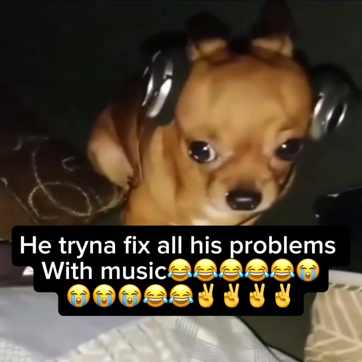 @๐๐๐ฑ๐ฑ๐ฅ๐ข๐ด ๆธฆ