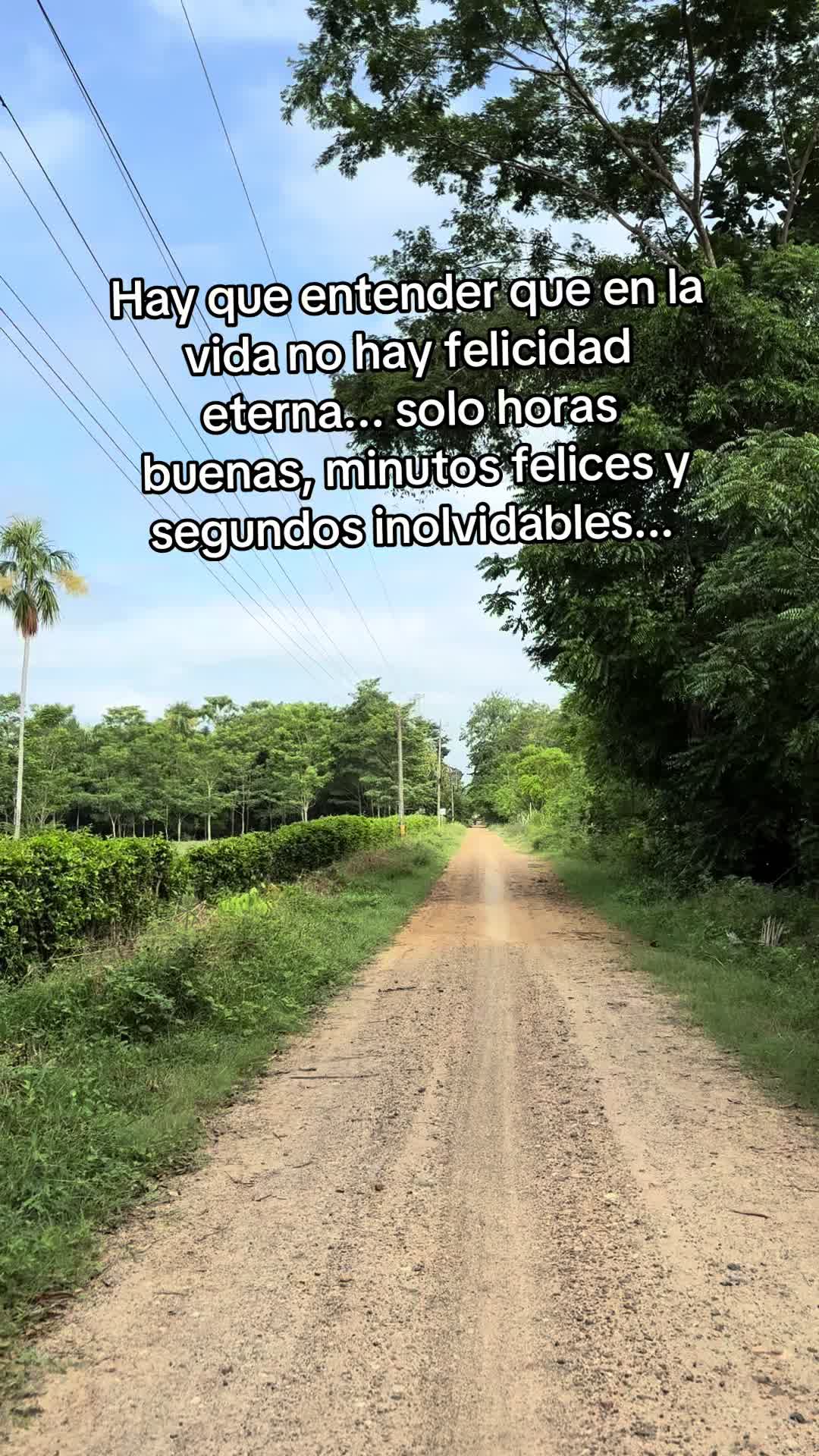 @EiverBaqueroContenidos