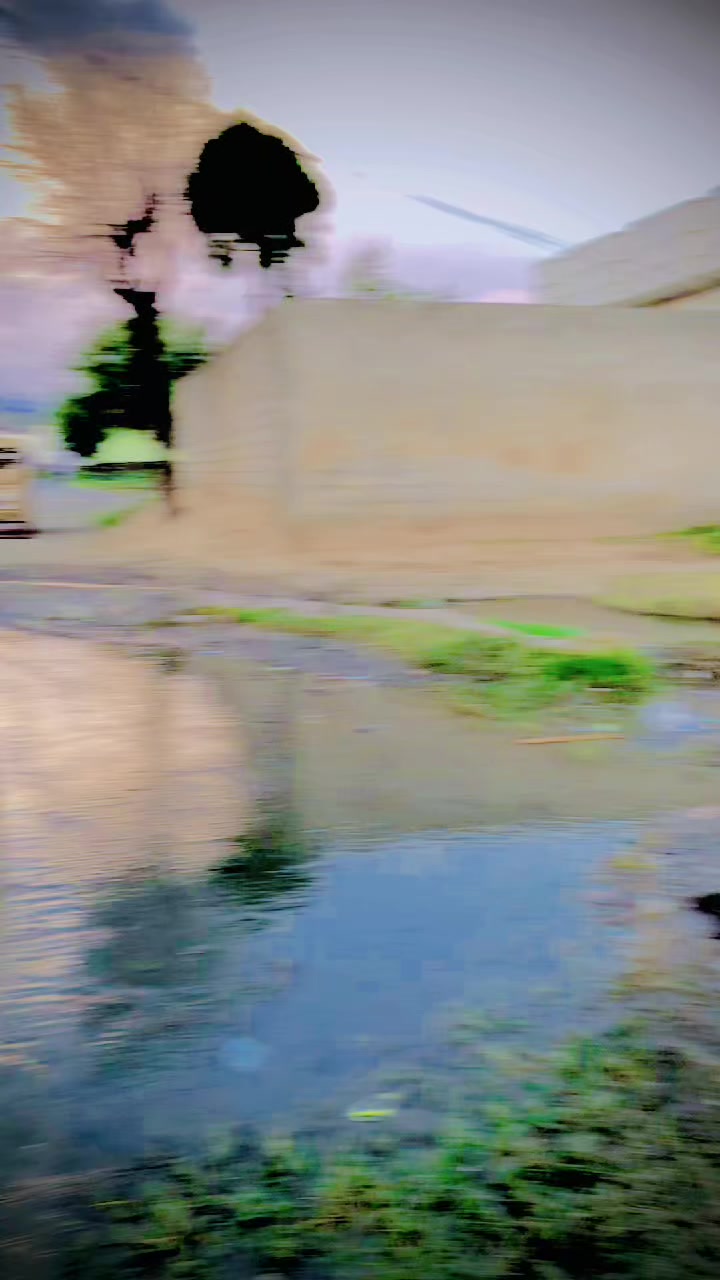 @🚩یاسر رحمان_یوسفزئ🐎