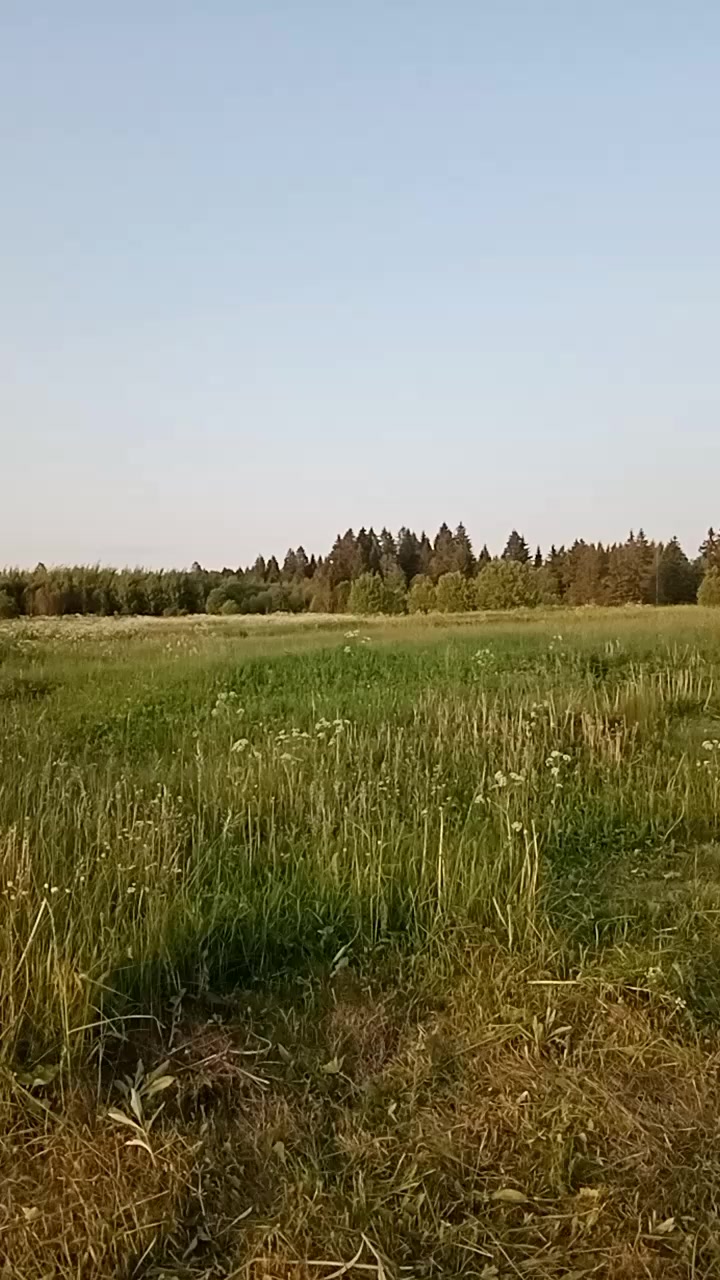 @Наталья