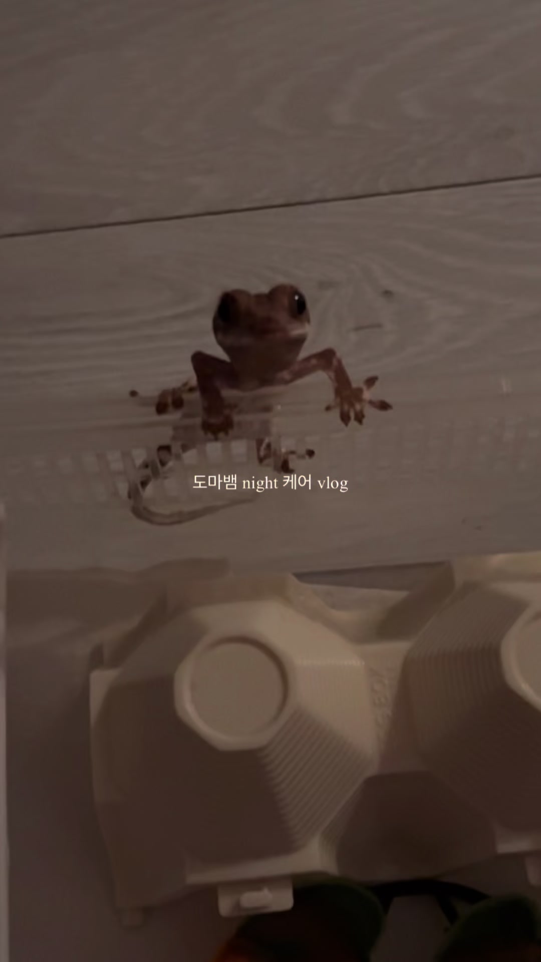 @• 온도