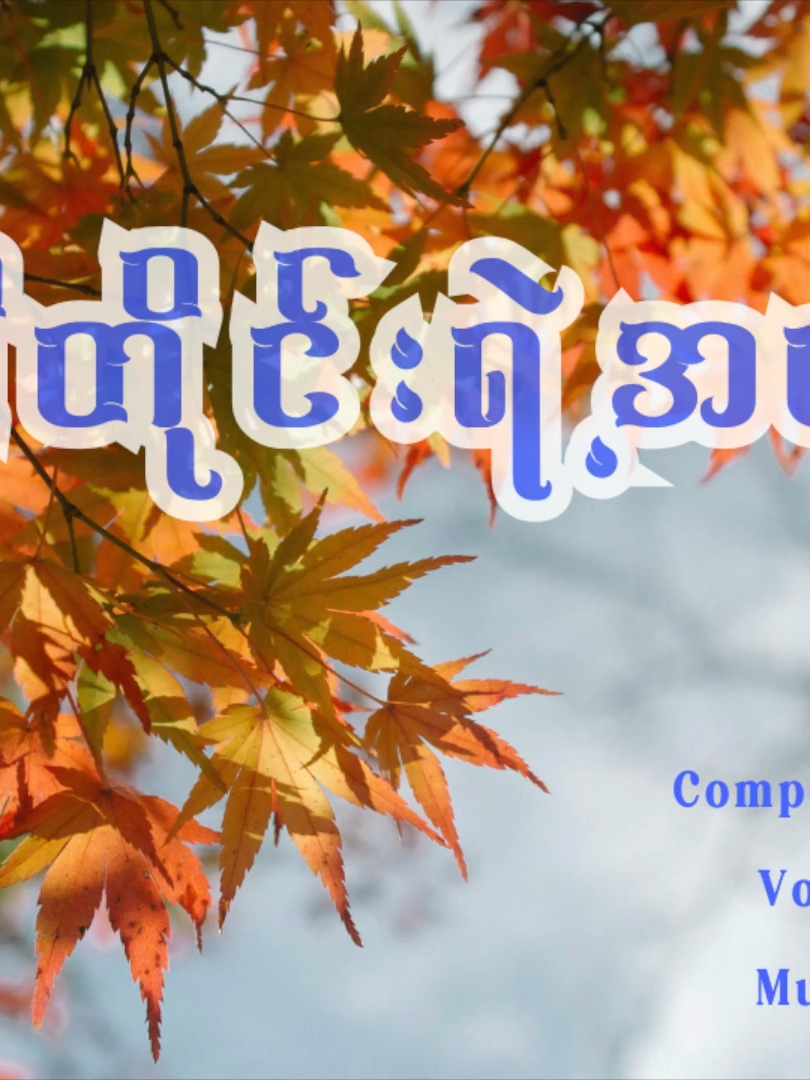 @Lin Bhone Han