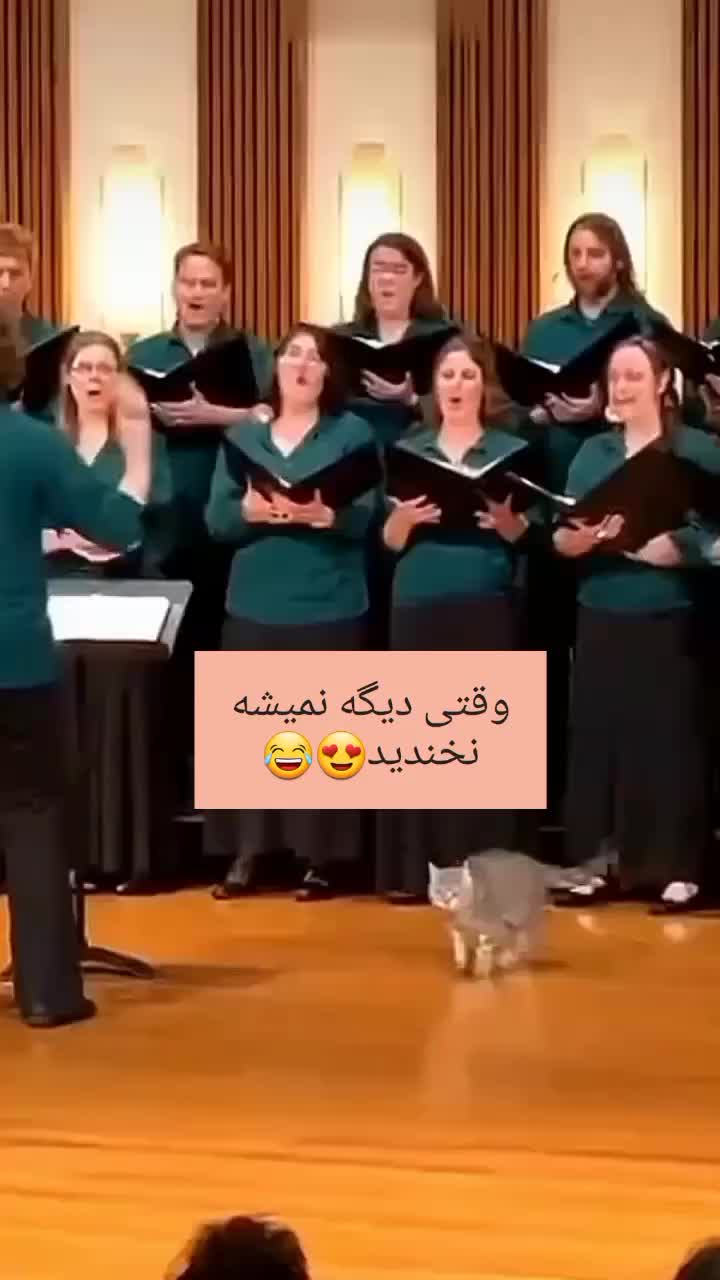 @Murtazakhan