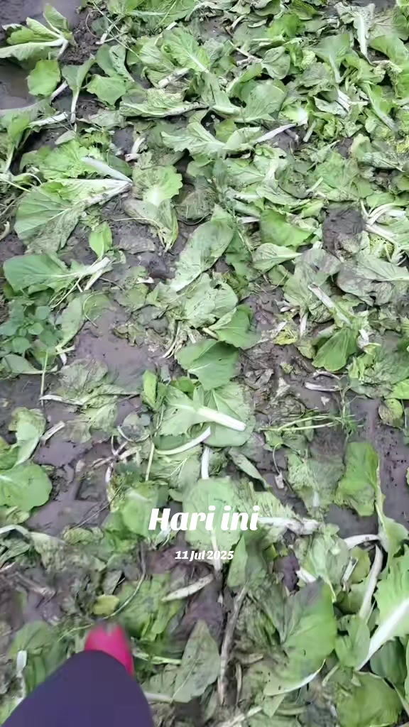 @Zhyn'TAUCE🔪🇲🇨🇹🇼🐅