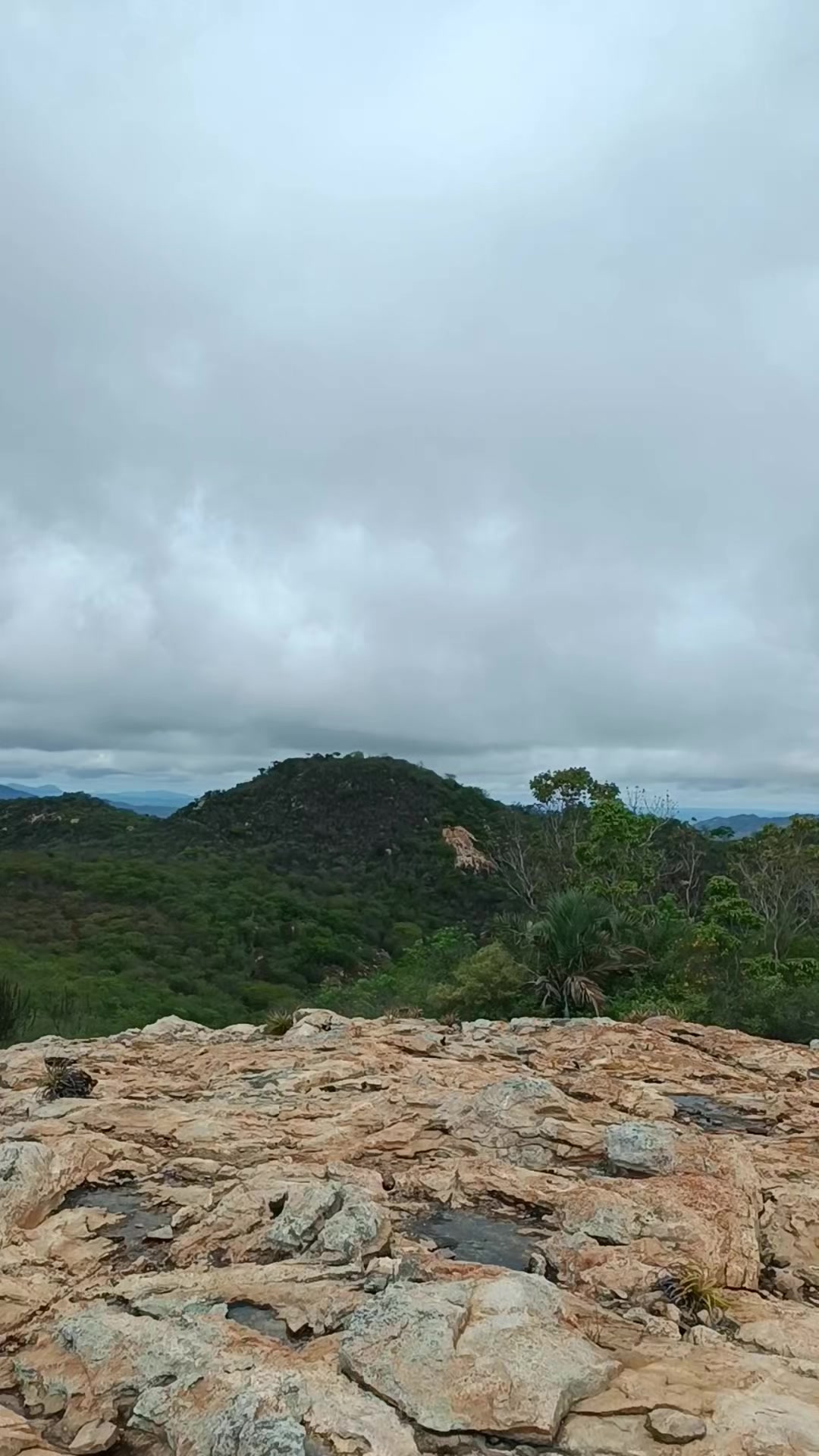 @NordesteCapturado