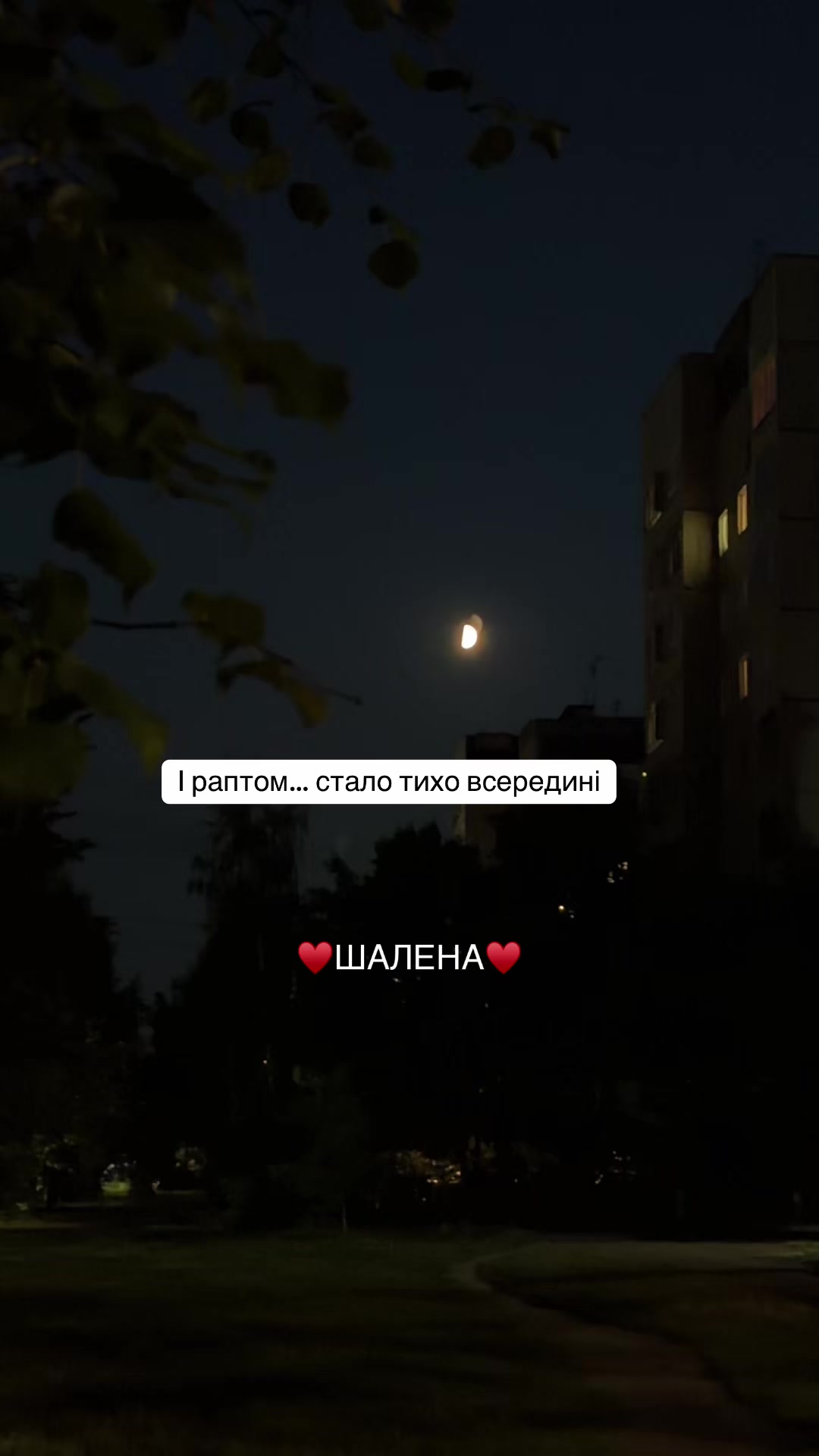 @♥️ШАЛЕНА♥️