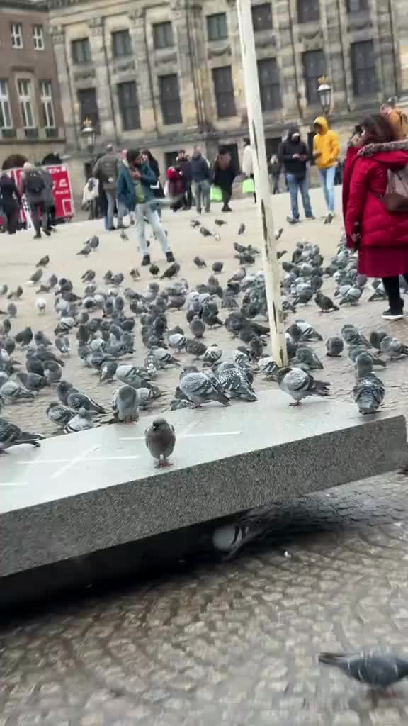 @открой базу и верни мне брбр