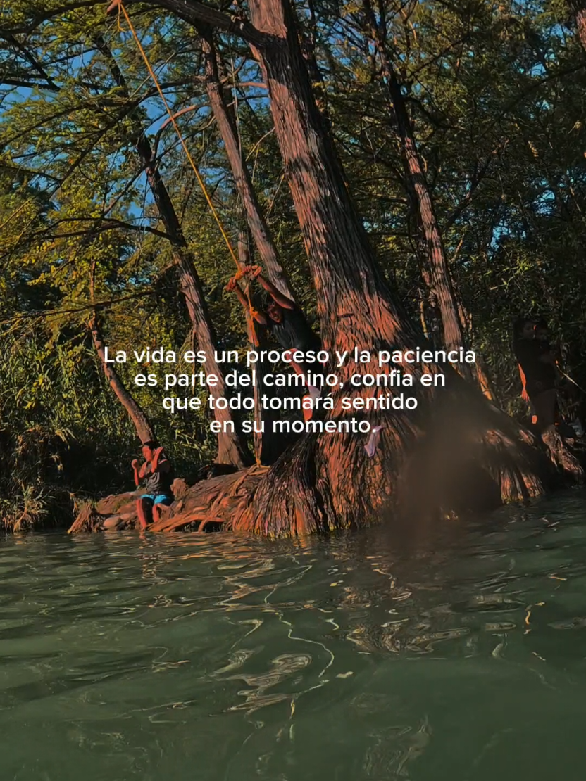 @Construyendoelexito