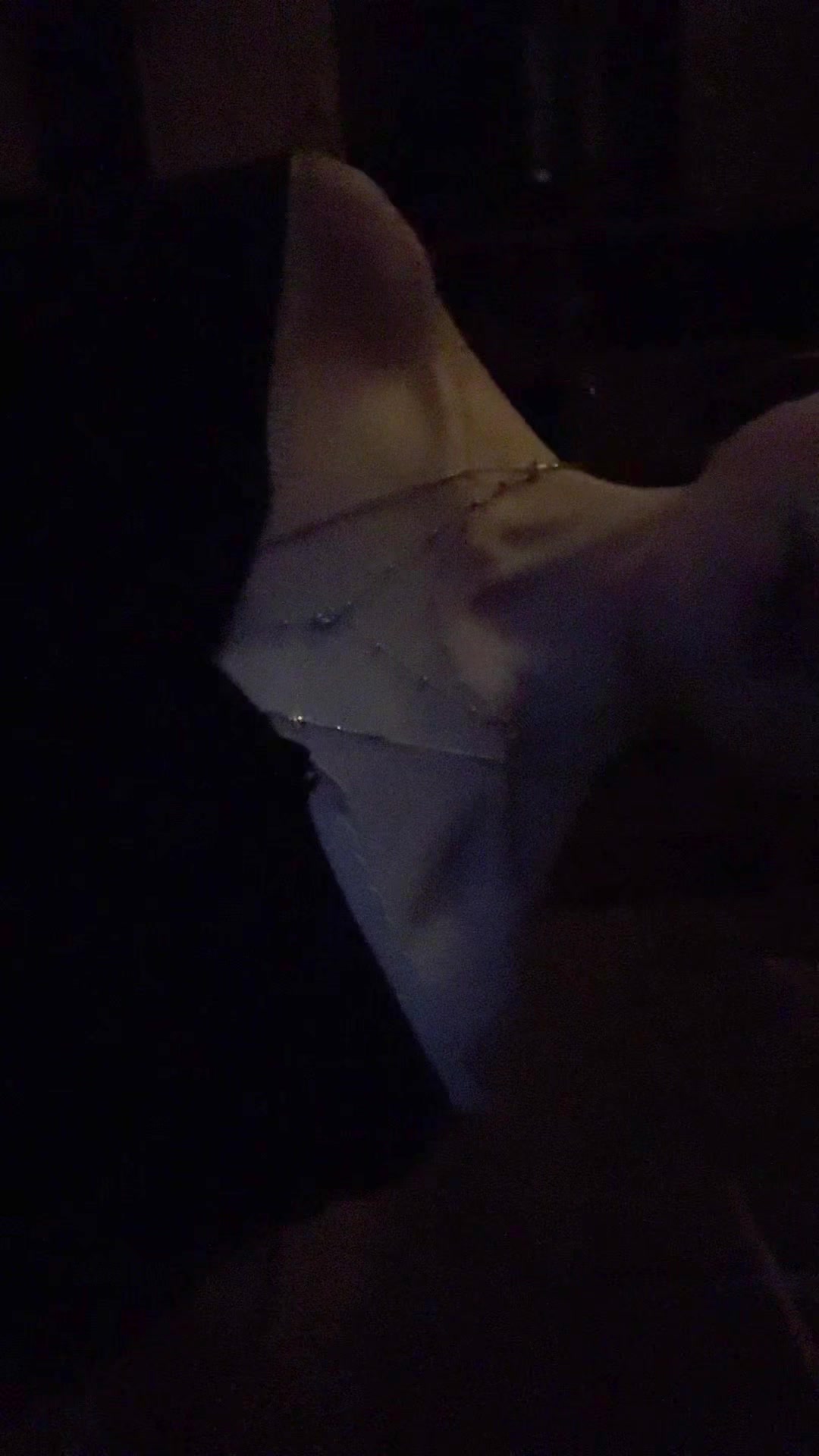 @1.01.010/..