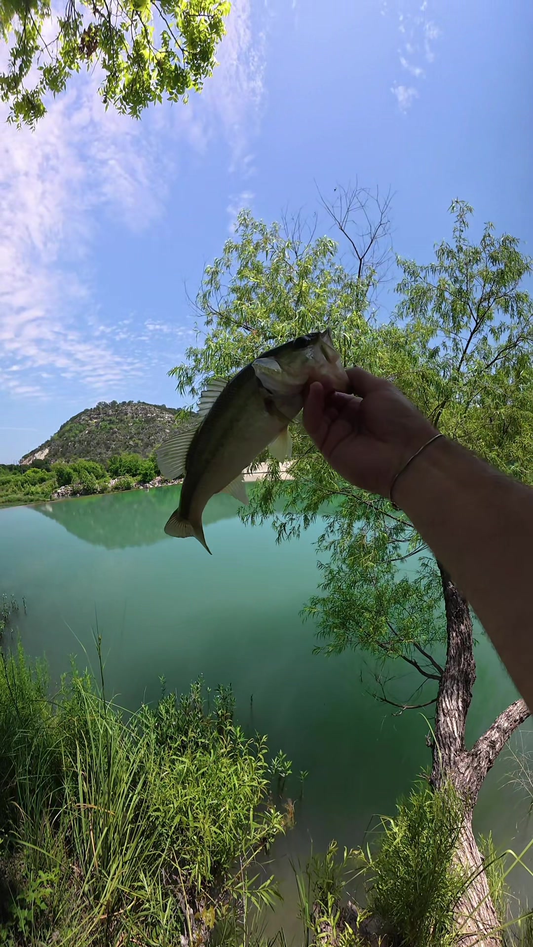 @drewmayfieldfishing