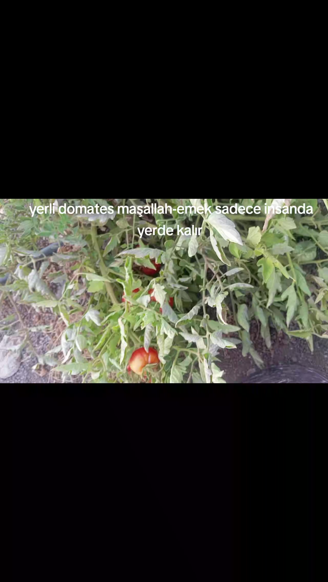 @Ramazan Korkmaz