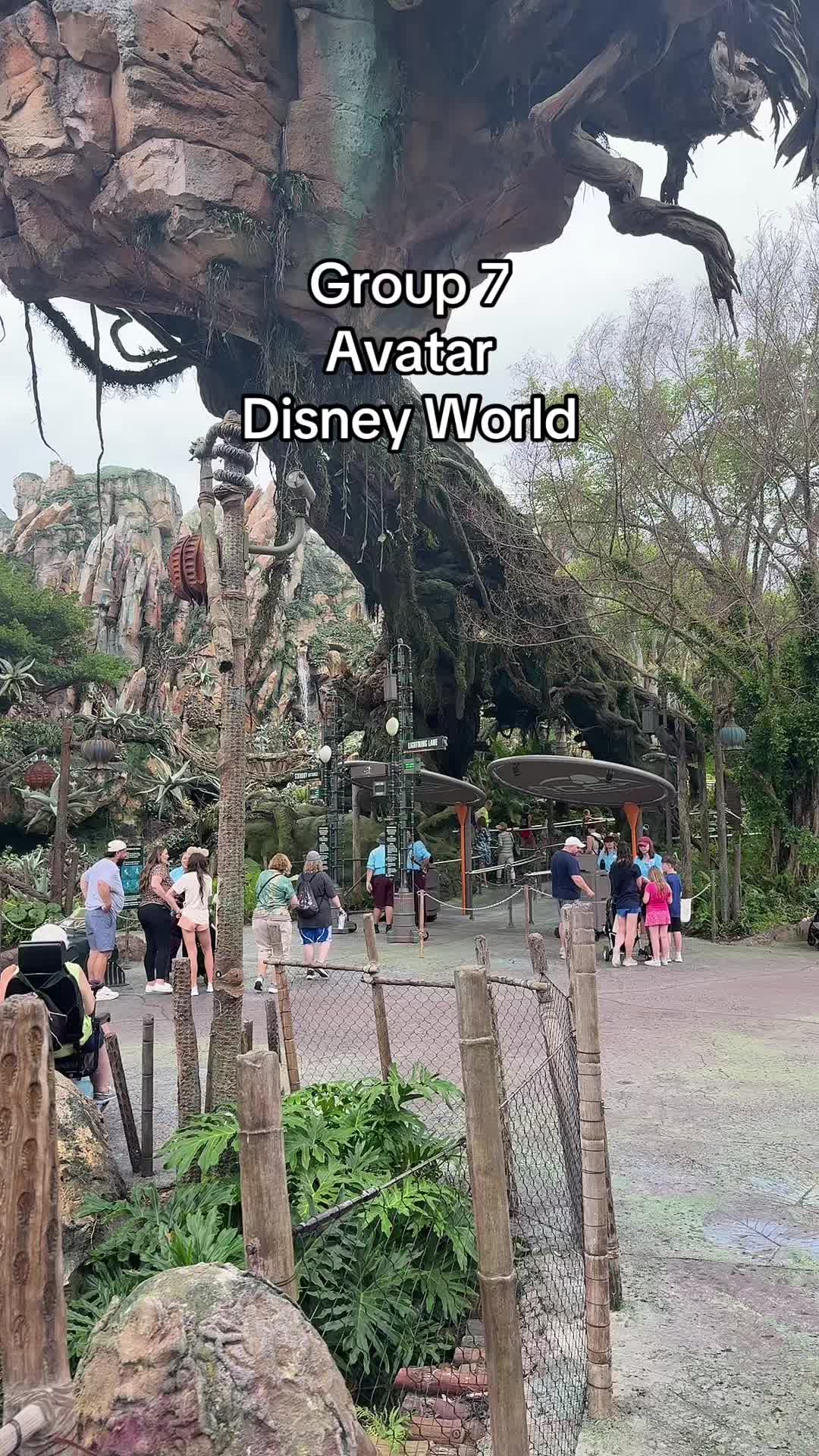 @mattytokzzz
