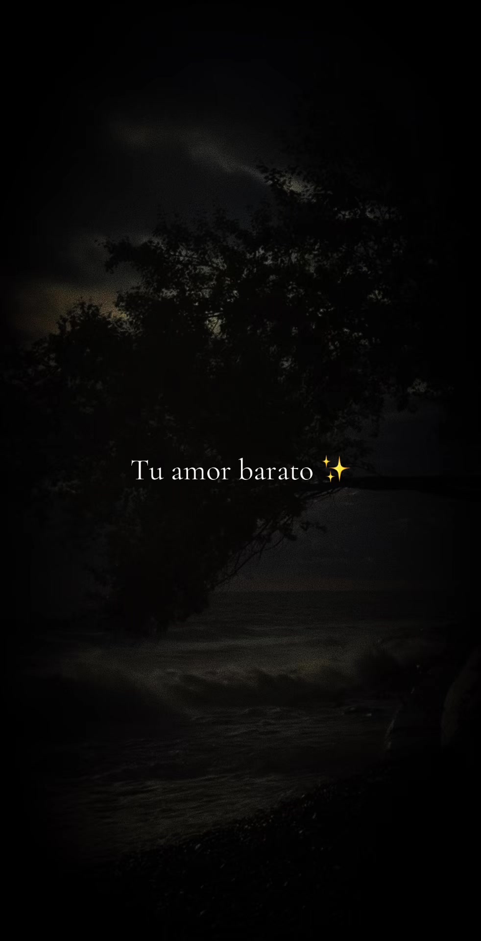 @✨️