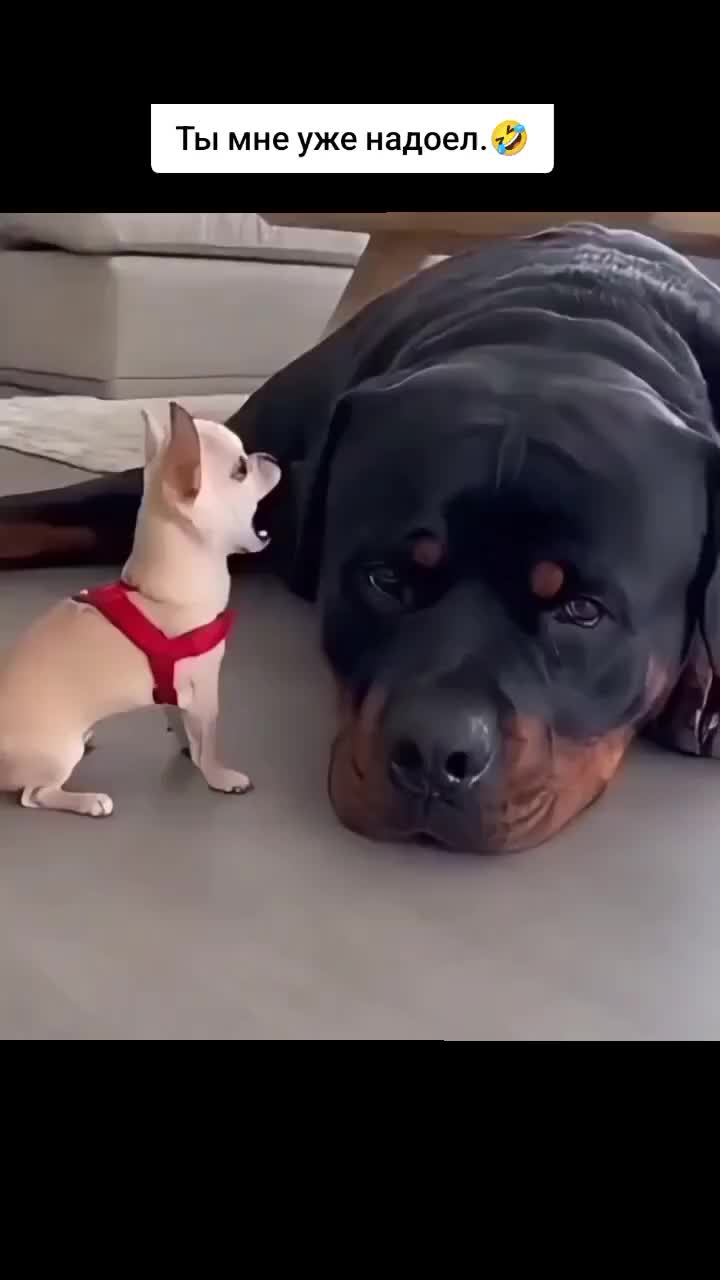 @Борисыч📸📹