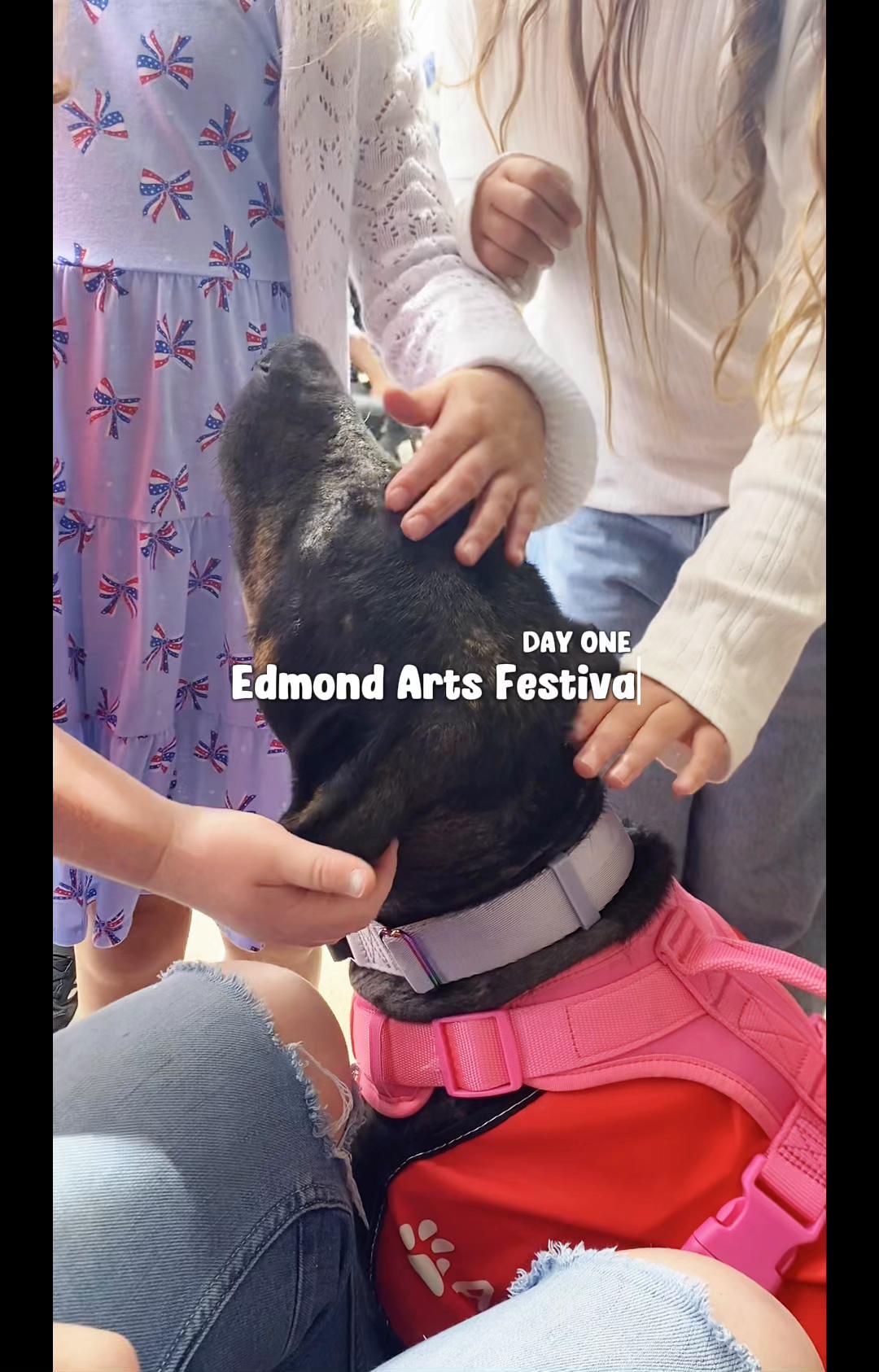 @405&ensp;Animal&ensp;Rescue