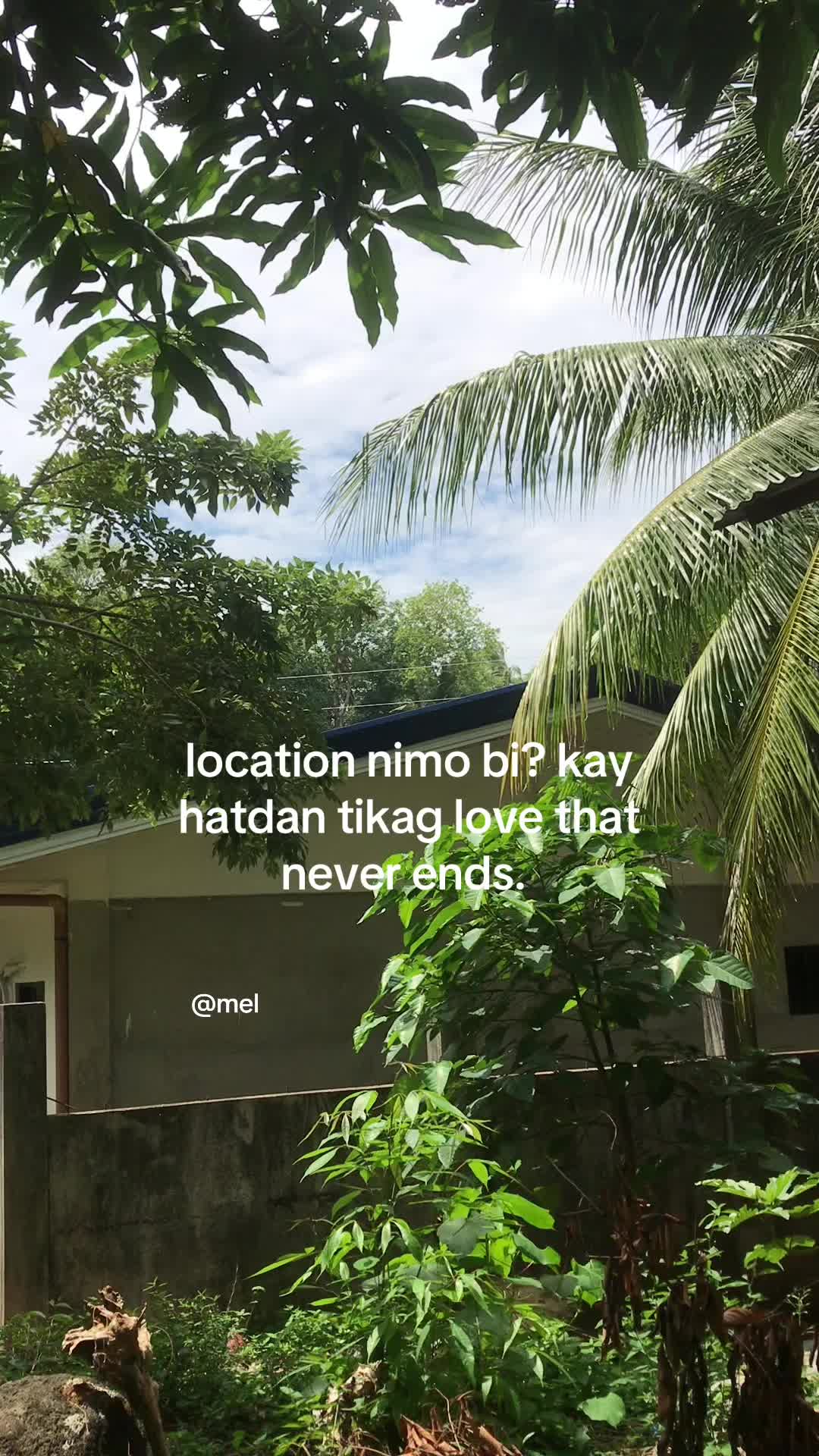 @leomel💤