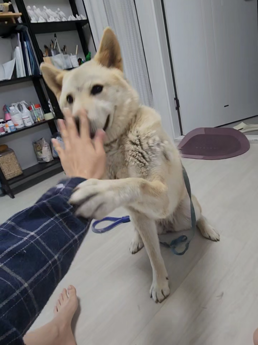 @오늘도 귀여워