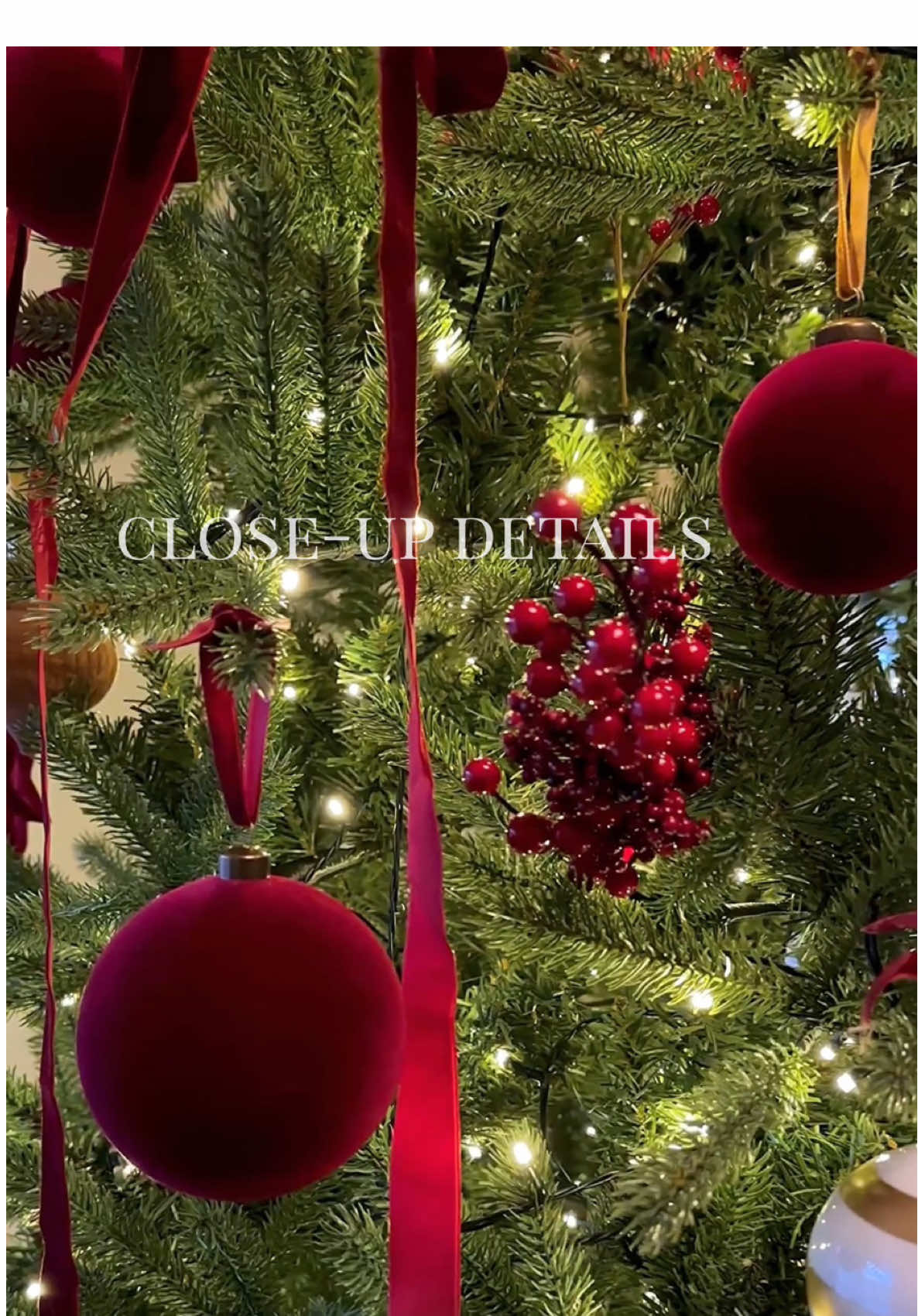 @Alexandra