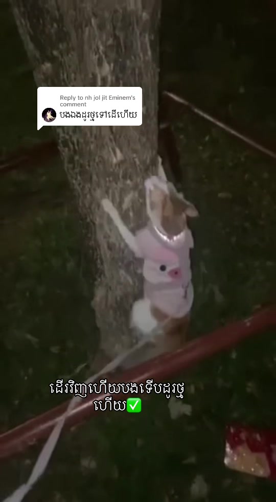 @Mew mew