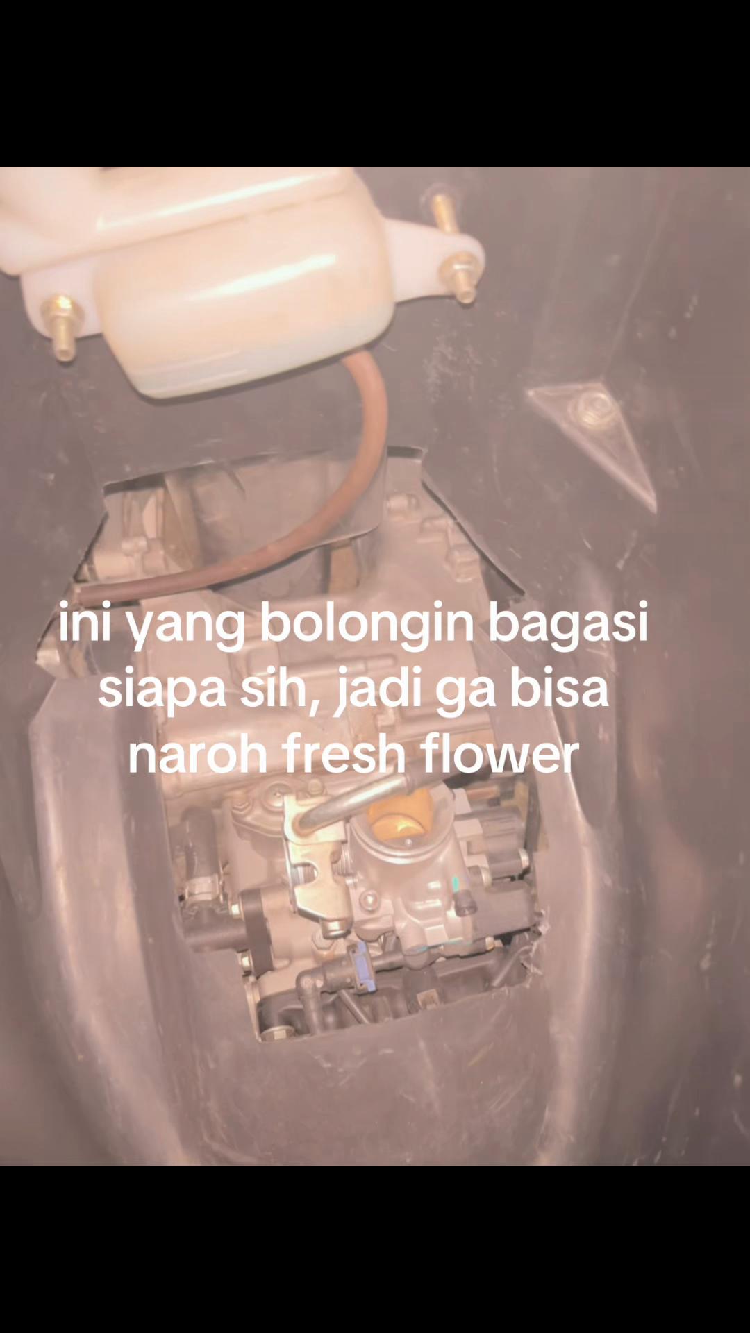 @SENNA🍒🥶