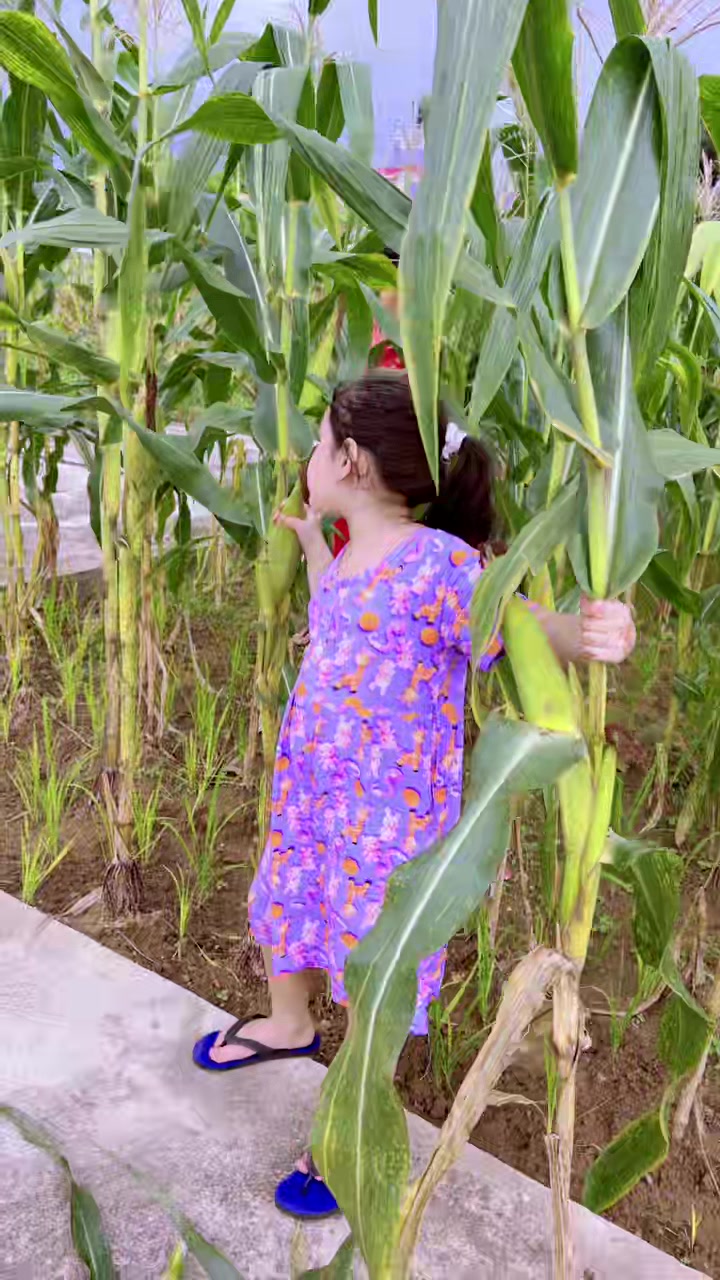 @Devaki Kharel Bartaula