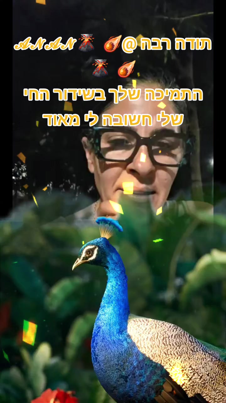 @๐บ๐๐๐๐ ๐ซ๐๐๐๐๐๐๐โ๏ธ