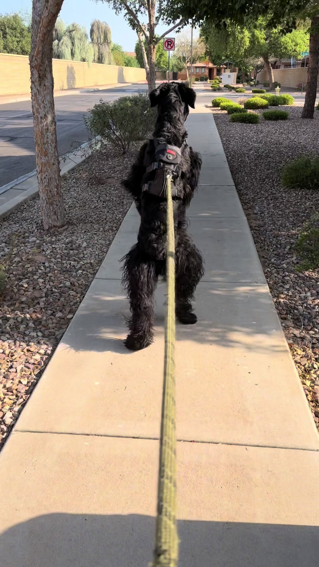 @Fiona Walks