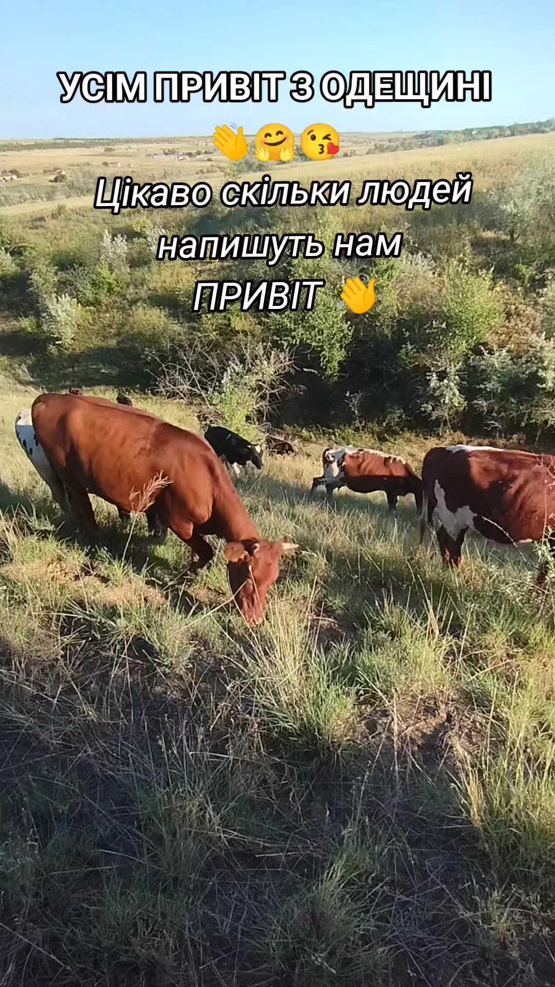 @Марченко Наталья