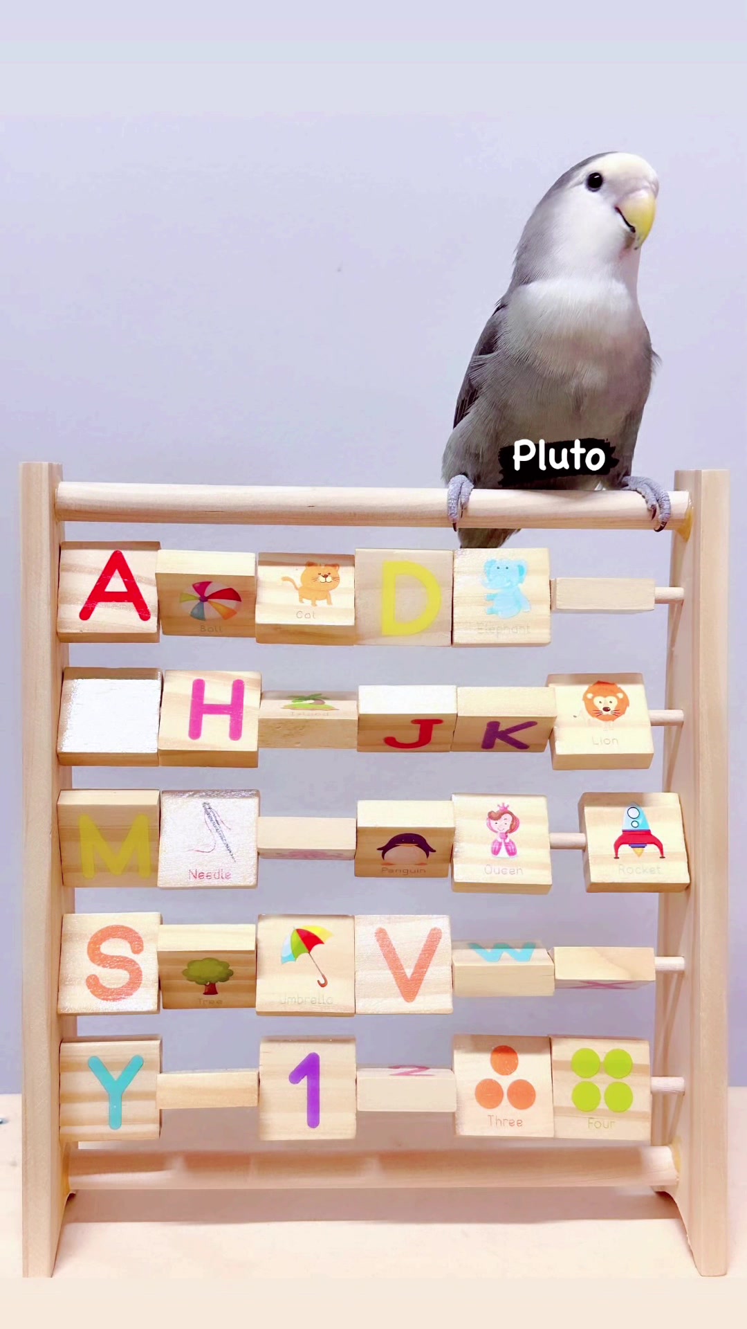 @𝐅@!𝗋&upsilon;𝐙