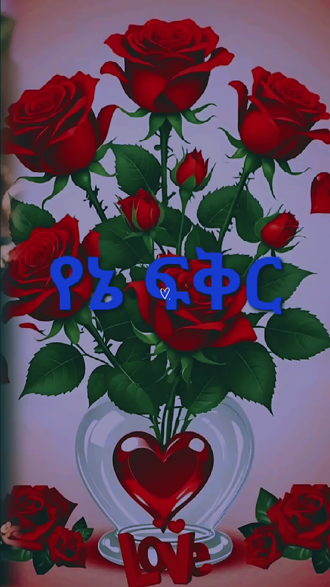 @LOvely _Roeses