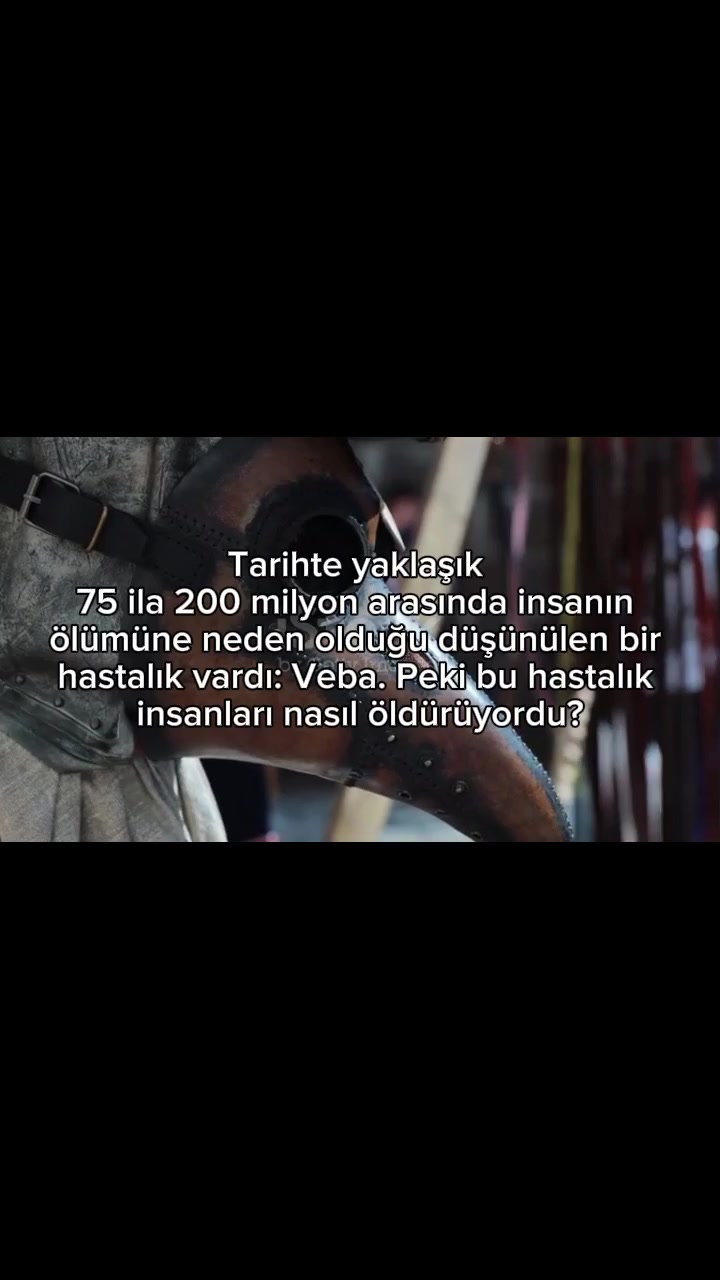 @Anatomi
