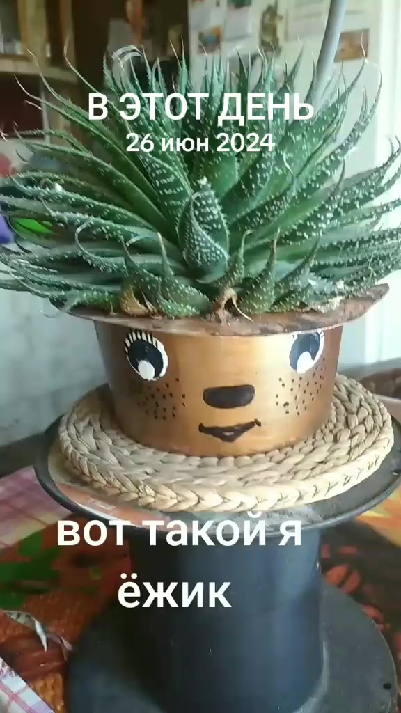@Юрик