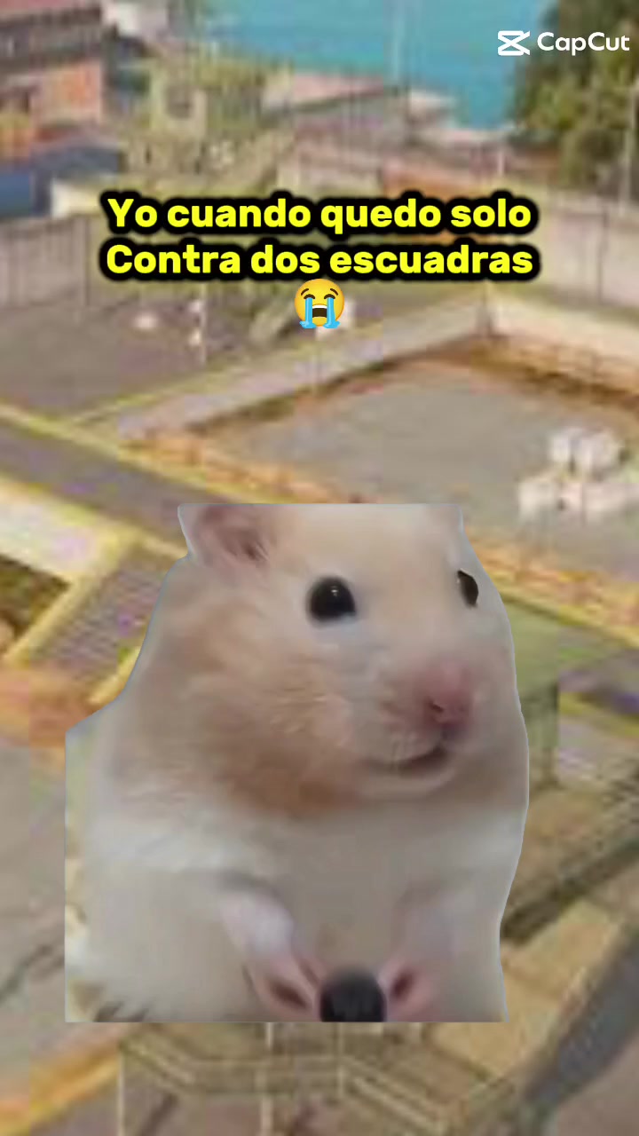 @REY black