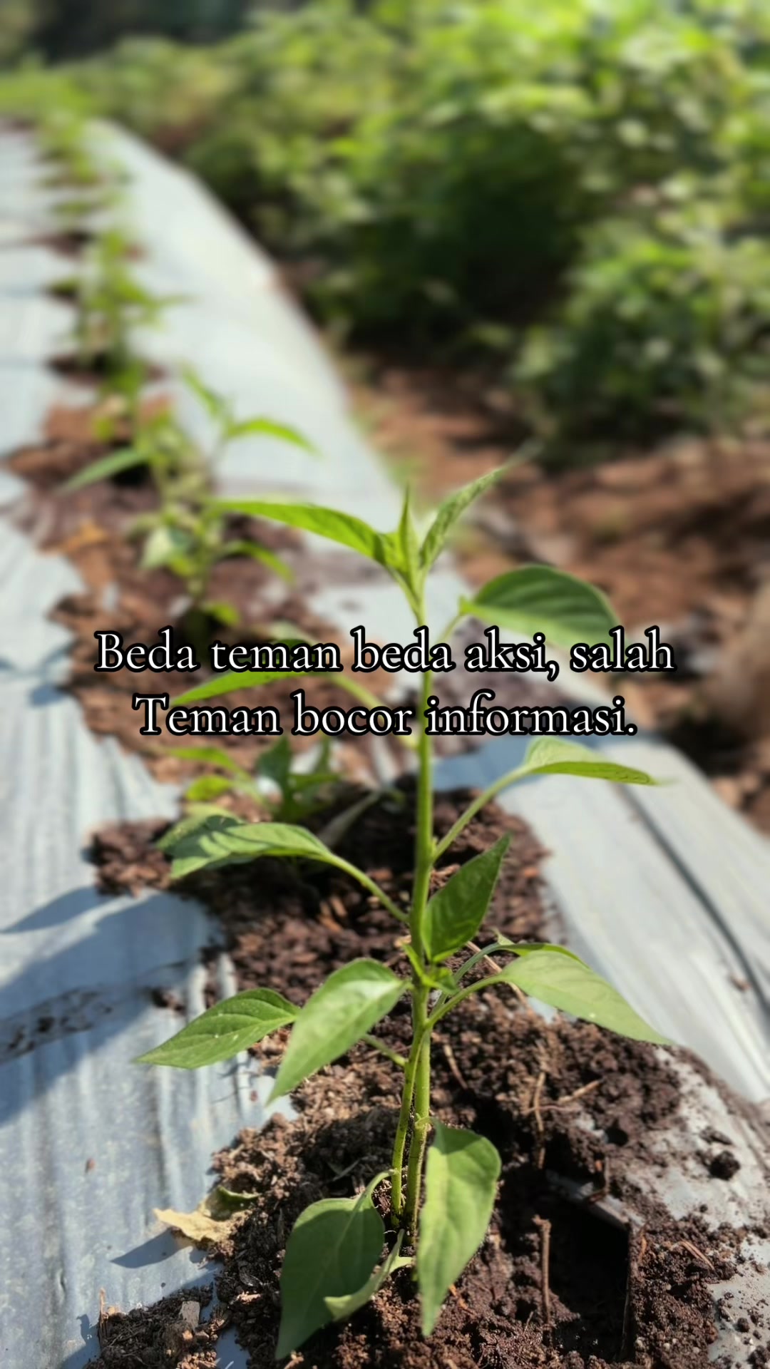 @nanda_setiawan_