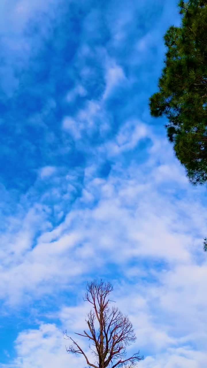 @☆𝐒𝐖𝐀𝐁𝐈__𝐆𝐀𝐃𝐎𝐎𝐍☆
